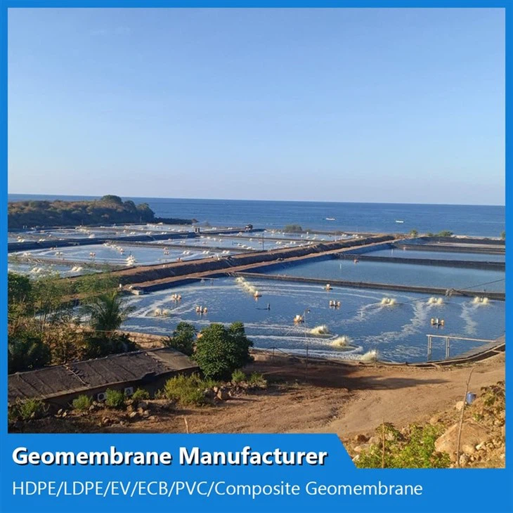 Waterproof Geomembrane