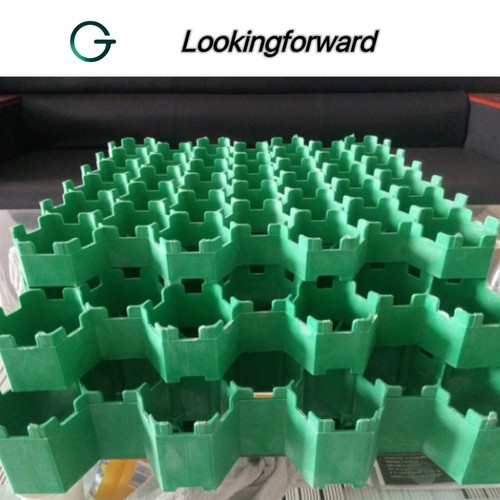 grass paver 009 grass paver 009