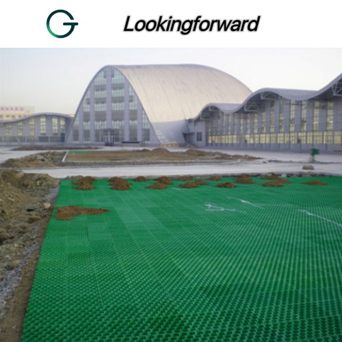 grass paver 014 grass paver 014