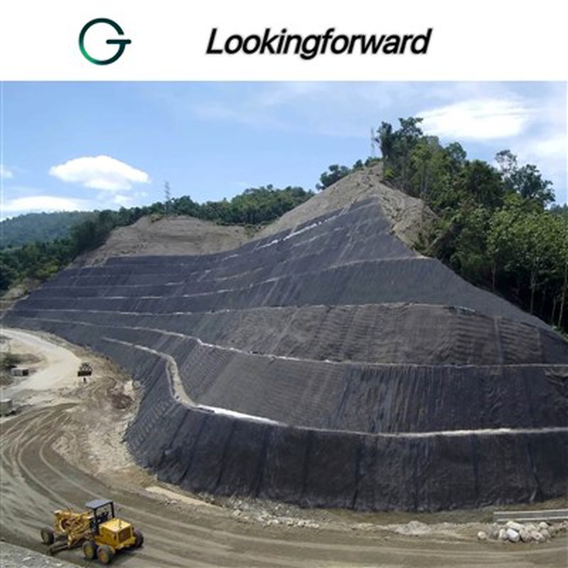 Geogrid Mesh Geogrid Mesh